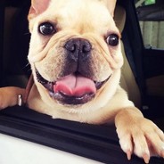 Hugo