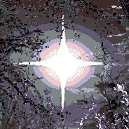 CARIMARA: Beneath the forlorn limbs