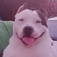 sven