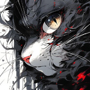 BlackRaccoon