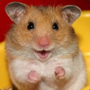 HaPPy_Hamster