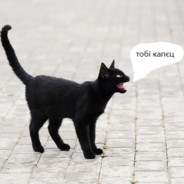 Xymerka