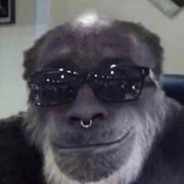 Dr.B
