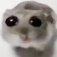 o.o