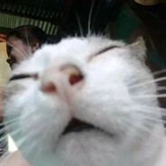 長頸鹿頭咖