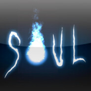 Paladinsoul
