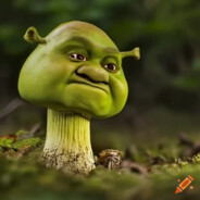 Nynomoooo