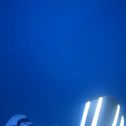 Marluc031