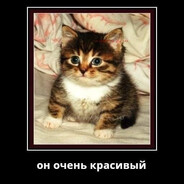 чудище schizophrenic 科