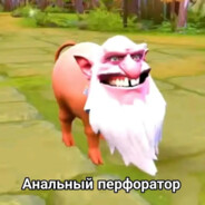 раб зина
