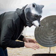 Father Raccoon