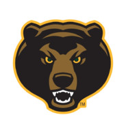 Mr.BiGBear
