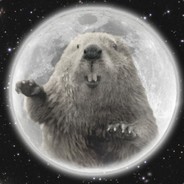 Beaver Moon
