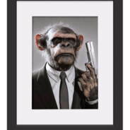 MACACO DA BAHIA