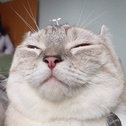 TuangOKnaSaddd