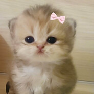 KEDUUUUUUU