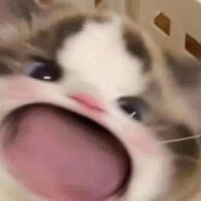 Mandooo