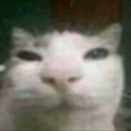 Яфа Шист