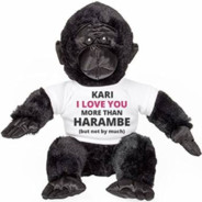 Gorilla kari