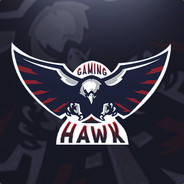 Hawk Gaming | Community