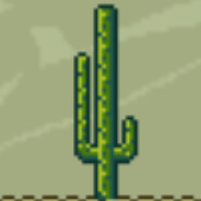 Cactus