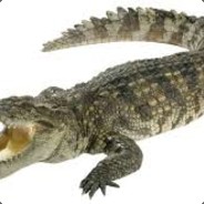 Crocodila