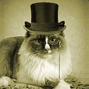 Sir Meow