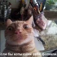 азазазаазаз-101.LOL