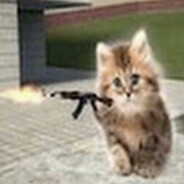 catwithak:3