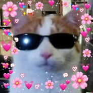 POLISH_CAT