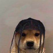Døg Scøtt