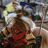 Sir Didymus