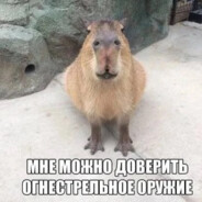 капибара