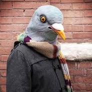 Mr.Pigeon