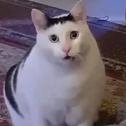𝘈ℙёиɠ™