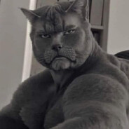 ItsMrRealFerlySerotingoo10pTckry