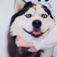N0bory