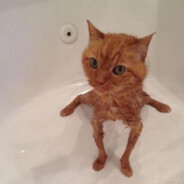 poopoomuncher