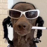 Snoop D0cC