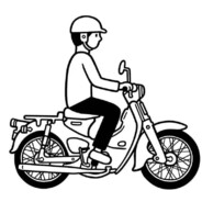 半棵树