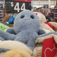 nemo