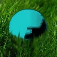 A Wild Shroot