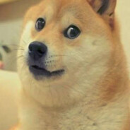 pugukapucha333