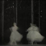 i wander the forest at dark