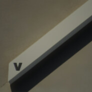 Vector