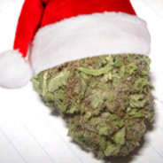 a christmas nug