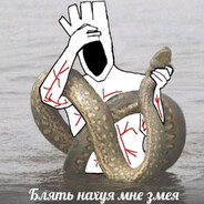 Biboid