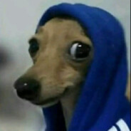 P4PITO