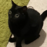 mocha_beanx