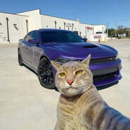 spoof